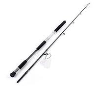 JINGYAN Cannes à pêche Quality Boat Fishing Rod Big Drag Power Ocean