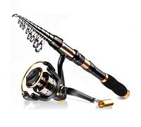 JINGYAN Cannes à pêche Telescopic Fishing Rod and Spinning Reel Combo Set with Line Lures Kit Accessories Suitable for Men Women Beginners(3.0M)