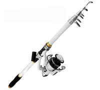 JINGYAN Cannes à pêche Telescopic Fishing Rod Spinning Ultralight Carbon Carp Casting Portable Tackle and Reel(3.6m)