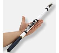 JINGYAN Cannes à pêche Telescopic Rock Fishing Rod Spinning Carp Feeder Carbon Fiber 3M 2.7M .4M .1M 1.8M .5M Mini Travel Reel Holder(2.7M-White)