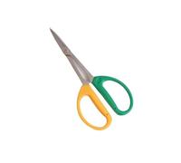 JINGYAN Ciseaux Stainless Steel Potted Long Handle Scissors Pruning Twigs Bonsai Gardening Flower Trimming Hand Tools Garden