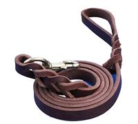 JINGYAN Laisses pour Chiens Large Dog Leash Walking Training Lead Braided Real Leather Pet Traction Rope Competition German Shepherd Labrador Dogs
