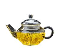 JINGYAN Théières Heat Resistant Glass Teapot Kung Fu Tea Set Flower Pot Transparent Filter Liner High Temperature Small Size