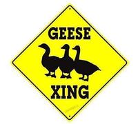 JINKAIRUI Geese Xing - Grand panneau de chasseur d'oiseaux en aluminium - Panneau d'avertissement vintage pour décoration d'intérieur - 20,3 x 20,3 cm