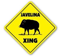 JINKAIRUI Plaque carrée en métal avec javelina traversant pécarie pour la maison, le bureau, le bar - Décoration murale pour l'intérieur et l'extérieur - 8 x 8 cm