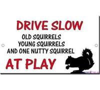 JINKAIRUI Plaque d'avertissement de rue « Drive Slow Old Young Nutty Squirrels at Play » - Décoration murale - Panneau d'avertissement de sécurité pour extérieur et intérieur - 20,3 x 30,5 cm