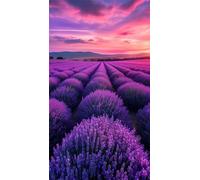 Jinmer Lavender Fields Diamond Art Kits,5D Diamond Painting Kits for Adults,DIY Full Round Drill diamond painting kits for Beginners Rhinestone Embroidery Picture Art For Home Decor 30x70 cm