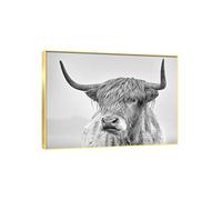 JINQIN Tableaux d’art mural d’animaux en noir et blanc. Impressions sur toile encadrées pour le salon: Highland Cattle No.6. Art Animaux Peintures sur Toile 80x104cm Cadre Doré