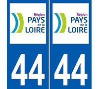 JINTORA - 2 Plaque immatriculation Voiture département 44 Pays de la Loire - Autocollant Voiture - Résistant aux intempéries - Vinyle Durable - Facile à Coller - Accessoire déco Original