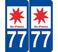 JINTORA - 2 Plaque immatriculation Voiture département 77 ile de France - Autocollant Voiture - Résistant aux intempéries - Vinyle Durable - Facile à Coller - Accessoire déco Original