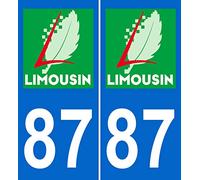 JINTORA - 2 Plaque immatriculation Voiture département 87 Limousin - Autocollant Voiture - Résistant aux intempéries - Vinyle Durable - Facile à Coller - Accessoire déco Original