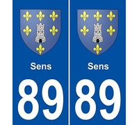 JINTORA - 2 Plaque immatriculation Voiture département 89 Sens Blason - Autocollant Voiture - Résistant aux intempéries - Vinyle Durable - Facile à Coller - Accessoire déco Original
