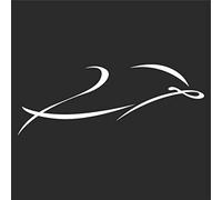 JINTORA Autocollant Voiture - Dauphin - 210x80 mm - Blanc - Sticker pour Voiture Tuning - Résistant aux intempéries - Vinyle Durable - Facile à Coller - Accessoire déco Original