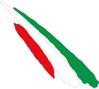 JINTORA Autocollant Voiture - Drapeau Italie 110x30 mm - Sticker pour Voiture Tuning - Résistant aux intempéries - Vinyle Durable - Facile à Coller - Accessoire déco Original