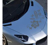 JINTORA - Autocollant Voiture Élément De Rangement Luna 40cm x 30cm Anthracite - Sticker Auto résistant intempéries en Vinyle Facile à Coller sur carrosserie vitre Pare-Chocs Accessoire déco véhicule
