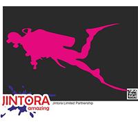 JINTORA Autocollant Voiture - Silhouette de Plongeur - 178x99 mm - Rose - Sticker pour Voiture Tuning - Résistant aux intempéries - Vinyle Durable - Facile à Coller - Accessoire déco Original