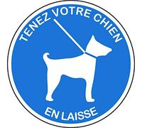 Jintora - Autocollants - autocollant "Tenez votre chien en laisse" 200x200mm
