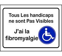 Jintora - Bouclier PVC - Tous Les handicaps ne sont Pas Visibles - 200x150mm