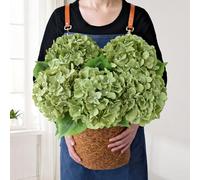 JINWOE Lot de 5 hortensias artificiels en Soie Artificielle pour Bouquet, centres de Table, intérieur, Printemps, extérieur, Maison (Vert romarin) 50,8 cm