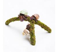 Jinymral Jouets d'escalade de crabe ermite, fournitures réglables pour l'ermite, accessoires de réservoir d'habitat de crabe ermite