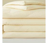 JINYOU Couette en Fibres de soja Toutes Saisons, Douce comme Un Nuage, légère et Respirante, idéale for la literie à Domicile et Les Chambres d'étudiants.(B,180x220cm 3kg)