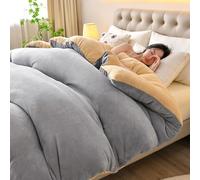 JINYOU Parure de lit en Velours Lait de qualité supérieure, légère et Luxueuse, avec Housse de Couette et Drap en Velours, et Parure de lit en Flanelle épaisse et Chaude.(F,220 * 240cm 4.9kg)