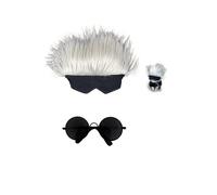 JinYu Costume de cosplay pour animal domestique avec lunettes de soleil et perruque, taille unique