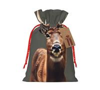 JIPOFD Beauty Deer Pochette de Noël robuste avec cordon de serrage 11,9 x 17,5 cm Convient pour les cadeaux de fête et l'emballage cadeau 1 pièce