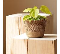 JITASHWA Pot de plantes tressé avec doublure, jardinière en jonc de mer, pots de fleurs décoratifs, jardinière d’intérieur, conteneurs pour plantes, décoration de maison, petit (M)