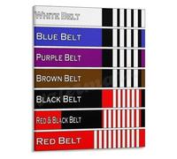 Jiu Jitsu Belt Stripes Poster Martial Arts BJJ Training Reference Wall Art Canvas Print for Academy Locker Room Home Gym(Framed,16x24inch(40x60cm))