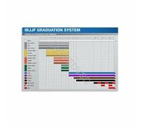 Jiu Jitsu Belt System Poster BJJ Rankings Chart Martial Arts Grading Guide Print Wall-Art for Home Gym Decor(Framed,08x12inch(20x30cm))
