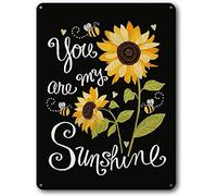 JIUFOTK Plaque en métal « Tu es mon rayon de soleil » 15,2 x 20,3 cm, décoration murale inspirante, affirmations positives, à suspendre, pour bureau, salle de classe, chambre à coucher