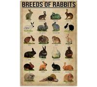 JIUFOTK Races de lapins rétro plaque en métal bar café club ation plaque nostalgique étain signe art fer peinture 5.5x8 pouces