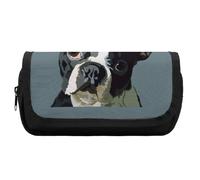 JiuPopular Trousse à crayons double couche, trousse de papeterie Boston Terrier utilisée comme trousse à crayons pour le bureau et l'école, sac de voyage d'affaires ou petite boîte à outils, trousse
