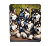 JIUTY Lovely Huskys Tapis de souris avec bords cousus Base en caoutchouc antidérapant Lavable Tapis de souris pour ordinateurs portables