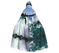 JIUTY Niagara Cape à capuche économique pour adulte, 145 cm de long, parfaite pour les fêtes d'Halloween, les danses