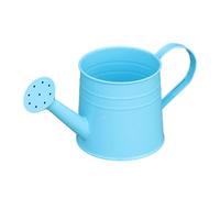 Jiuvaso Arrosoir pour Enfants avec Poignée Ergonomique Pot à Eau pour Jardin Récipient Portable en Métal pour Fleurs Outil de Jardinage Utilisé pour Arroser, Bleu