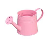 Jiuvaso Arrosoir pour Enfants avec Poignée Ergonomique Pot à Eau pour Jardin Récipient Portable en Métal pour Fleurs Outil de Jardinage Utilisé pour Arroser, Rose
