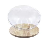 Jiuvaso Capsule pour Chats Lit Hamac Moderne Acrylique Transparent Niche Repos Design Capsule Demi-Cercle Simple à Nettoyer Adaptée Chats D'Intérieur Décorati, 35CM