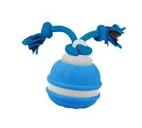 Jiuvaso Jouet pour Chien Boule Dresseuse Interactif avec Corde Automatique par Type C Son Naturel Stimulant Coque Solide pour Animaux de Petite M, Bleu