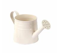 Jiuvaso Mini Arrosoir en Métal, Jardinière, Récipient de Fleurs Rustique Polyvalent 9.6x4.5 Pouces pour Décoration Intérieure et Extérieure, Surface Lisse, Blanc
