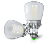 JIUYUAN 27W Ampoule LED E27 Blanc Froid 5000K, Ampoules LED 3760LM, Équivalent Ampoule E27 Halogène 250W, Ampoule Standar A60 Gros Culot à Vis, No Dimmable, Lot de 2