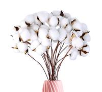 jiuzcare Fleur De Coton Fleur SéChéE Branches De Coton Fleurs Sechees Naturelles Artificielle Fausses Plantes Naturelles Branche Artificiels Fleurs Fermes DéCoration, 20PCS