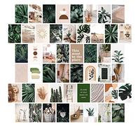 jiuzcare Set de Cartes Postales 50 pièces Carte Postale Sans Texte Vœux vierges Decorative Postales Vintages avec Différents Motifs Cadeau D'amour D'amitié Vie Motivation D'anniversaire, M9014