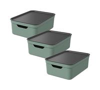 Jive Dekobox Lot de 3 boîtes de rangement 10l avec couvercle, Plastique (PP recyclé), 10l (37.5 x 27.8 x 13.5 cm), Vert