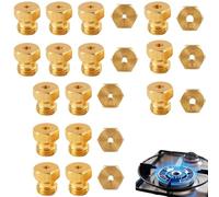 JIXLOUR 15 Pièces Gicleur Gaz Butane Universel, Kit d’Injecteurs pour Conversion GPL Propane, Compatible avec Cuisinière, Plaque de Cuisson et Bouteille de Gaz Brûleur, Diamètres : 0.5-0.65-0.7-0.80-0