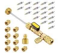 jiyaohui Kit D'Outils D'Installation pour Extracteur de Noyau de Valve Extracteur de Noyau de Valve avec Double Port 1/4 et 5/16 pour R22 R12 R407 R410 R404 R32 R600