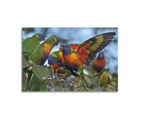 JIYAYCU Poster oiseau perroquet arc-en-ciel décoratif sur toile 50 x 75 cm