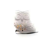 JJA Brûleur de cire en céramique en forme de hibou de 10 cm, diffuseur d'huiles essentielles et de cire, sorcellerie, diffuseur parfumé décoratif-1823W
