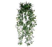 JJA Composition Plante GRASSE RETOMBANTE 33CM